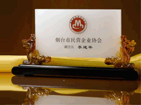 烟台市民营企业协会副会长 烟台市民营企业协会副会长